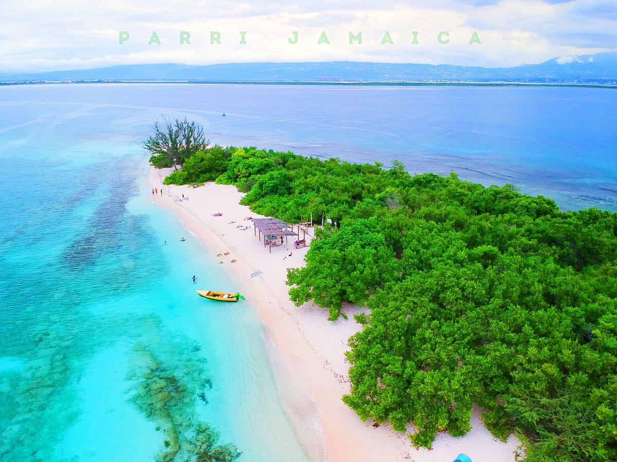 lime cay island parrijamacia